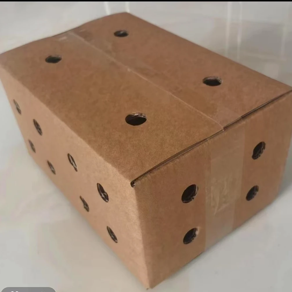 快递保温纸箱40个送10备损（五黑-才哥专属）