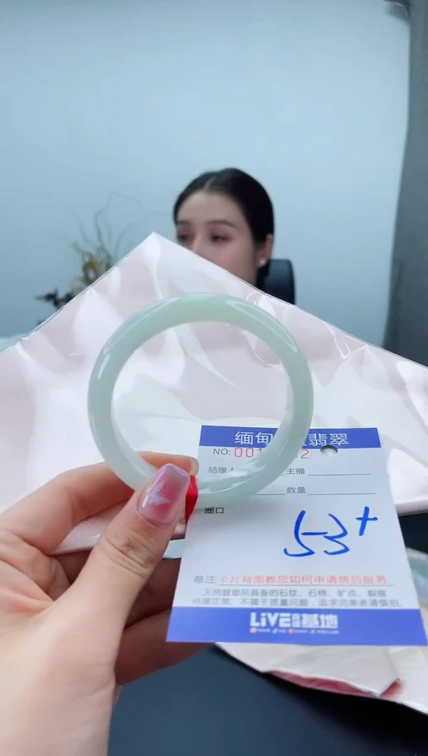 未镶嵌手镯翡翠2