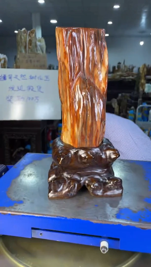 未镶嵌摆件硅化玉12