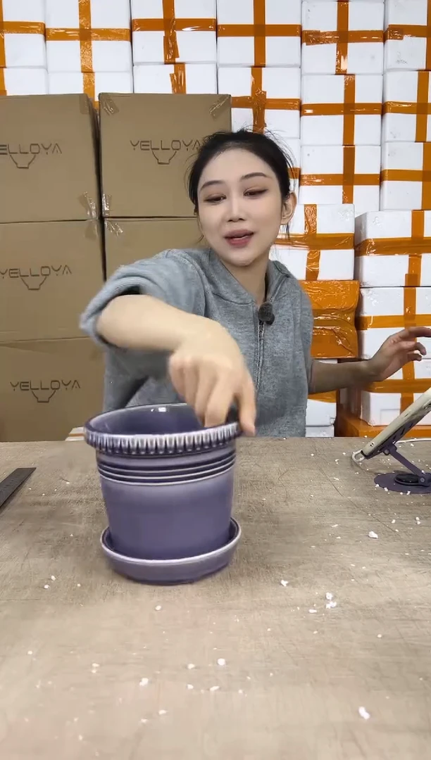 紫色带托盘16x14