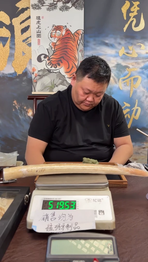 把件猛犸象牙猛犸猛犸猛犸283