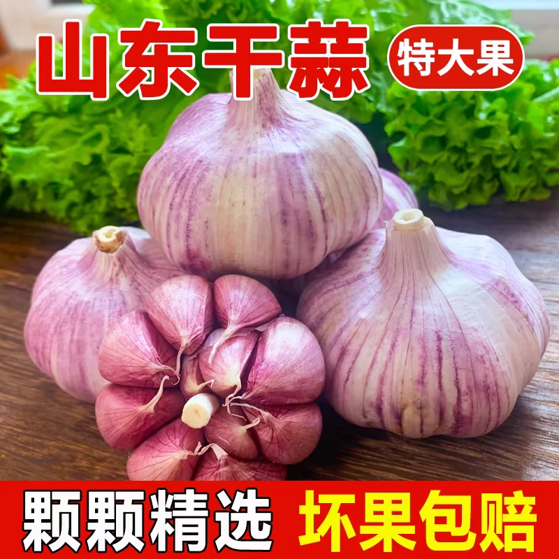 【紫白皮大蒜】山东紫白皮大蒜头批发新大蒜十成干紫白皮蒜头