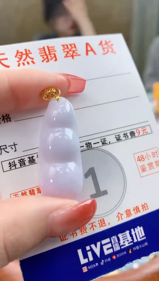 颈饰未镶嵌翡翠天然A货翡翠挂件