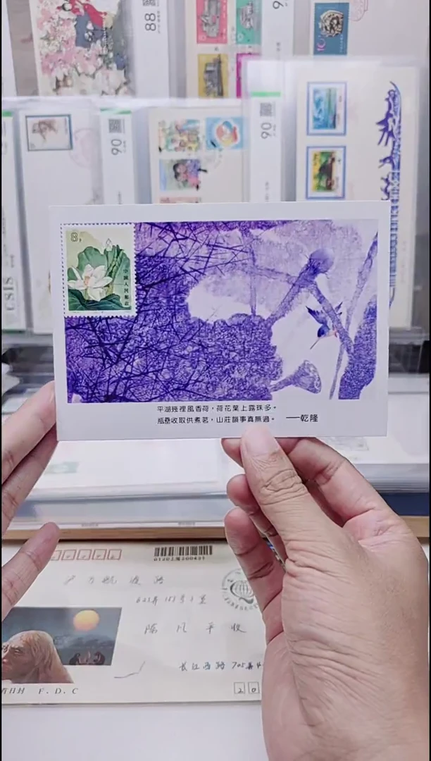 贴荷花   极限片