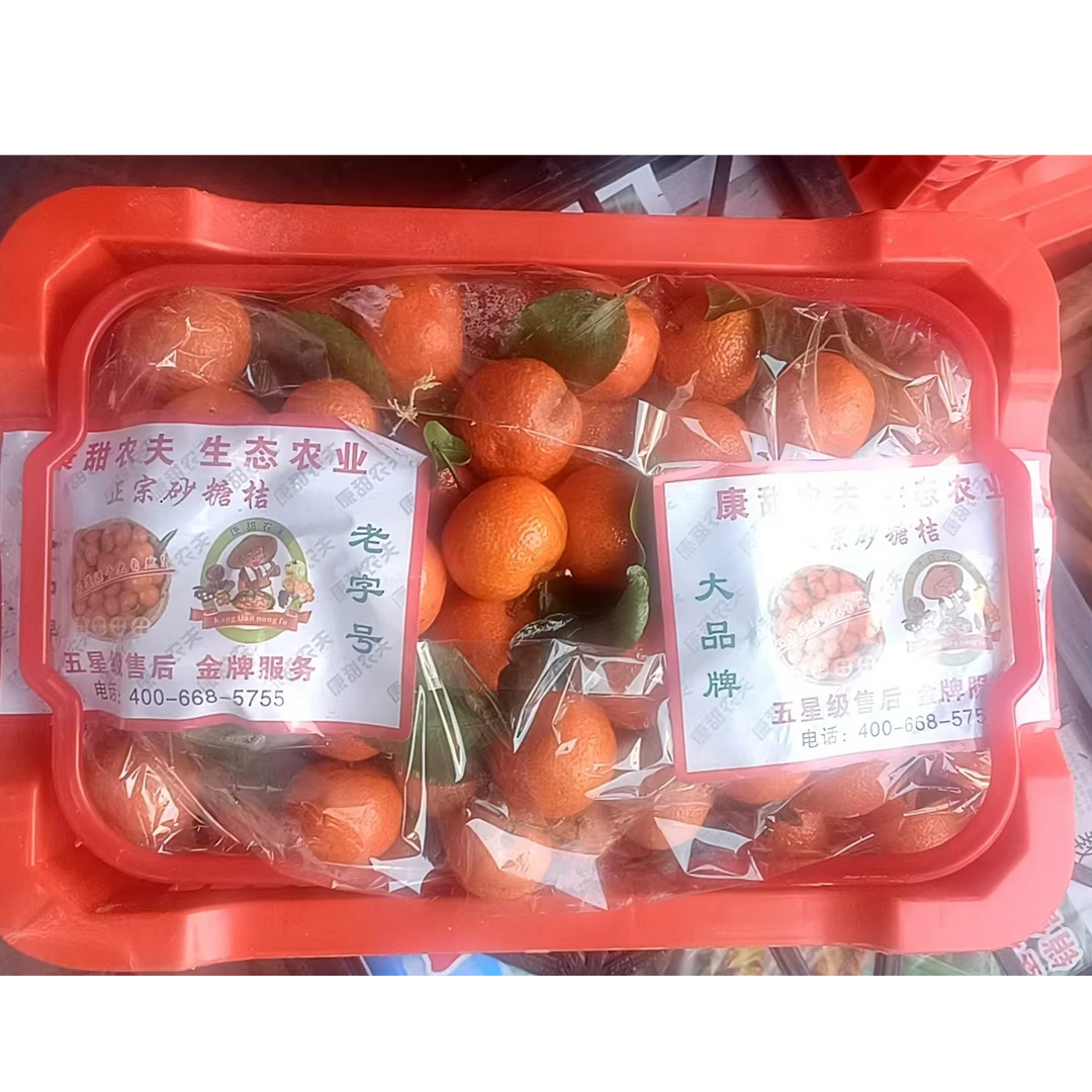 玺韵水果-四川砂糖桔一筐6斤左右（ 表皮有瑕疵 介意者慎拍）