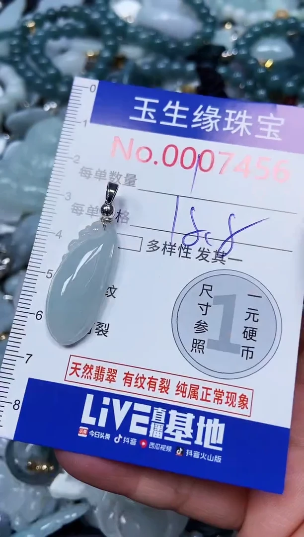 【闪购商品】翡翠颈饰未镶嵌闪购00007456