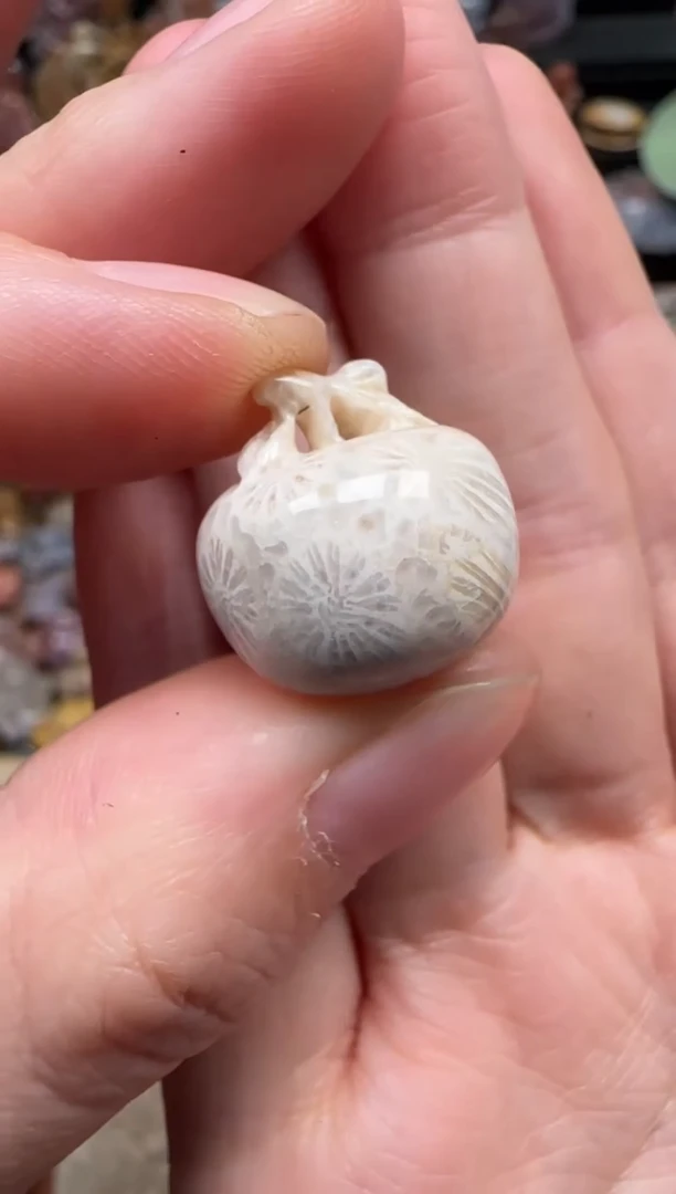 颈饰未镶嵌硅化珊瑚（珊瑚玉）669