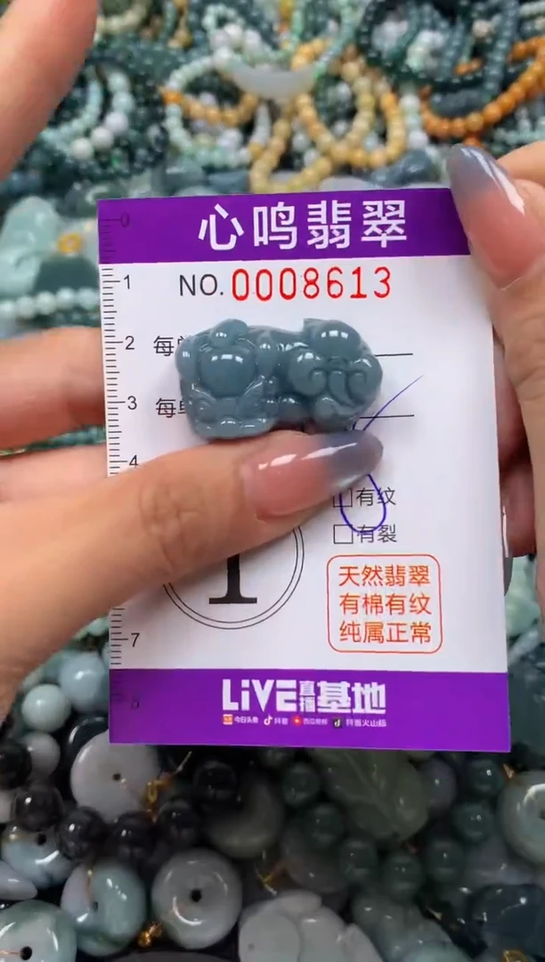 颈饰未镶嵌翡翠闪购008613