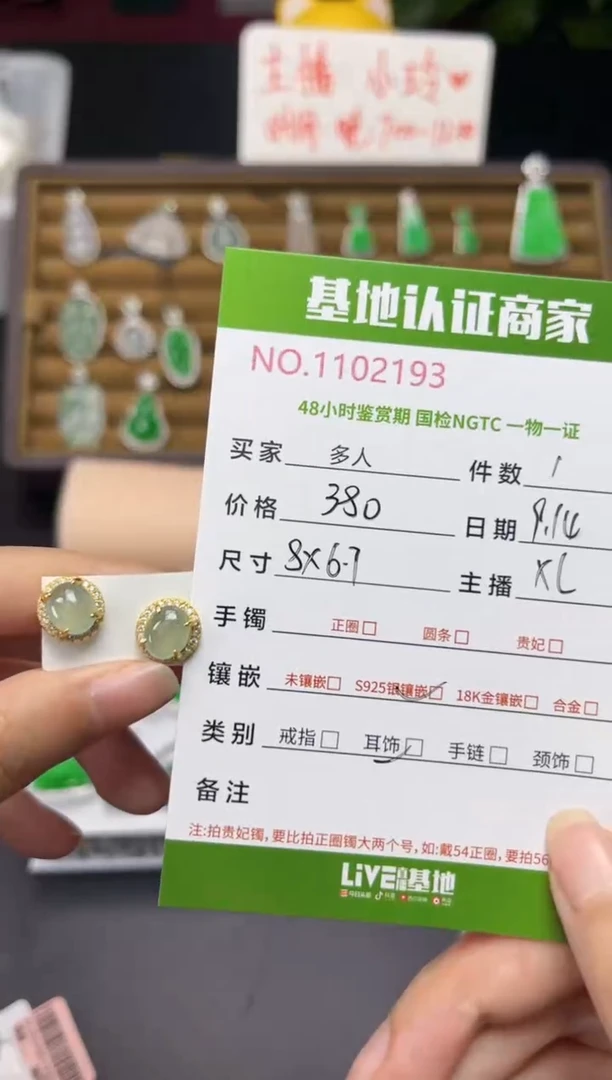 银S925镶嵌翡翠耳饰多人