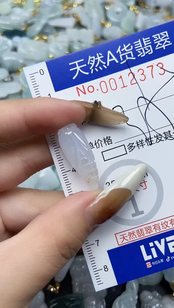 【闪购商品】翡翠颈饰未镶嵌天然A货翡翠