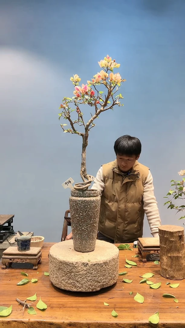 【闪购商品】AA934