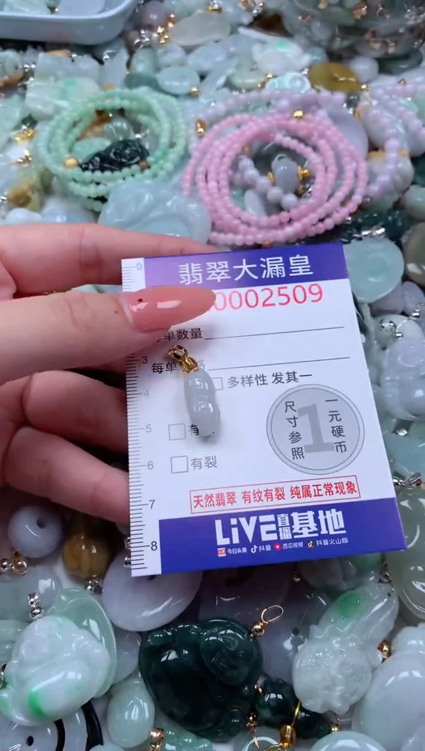 翡翠未镶嵌吊坠(不含链)509