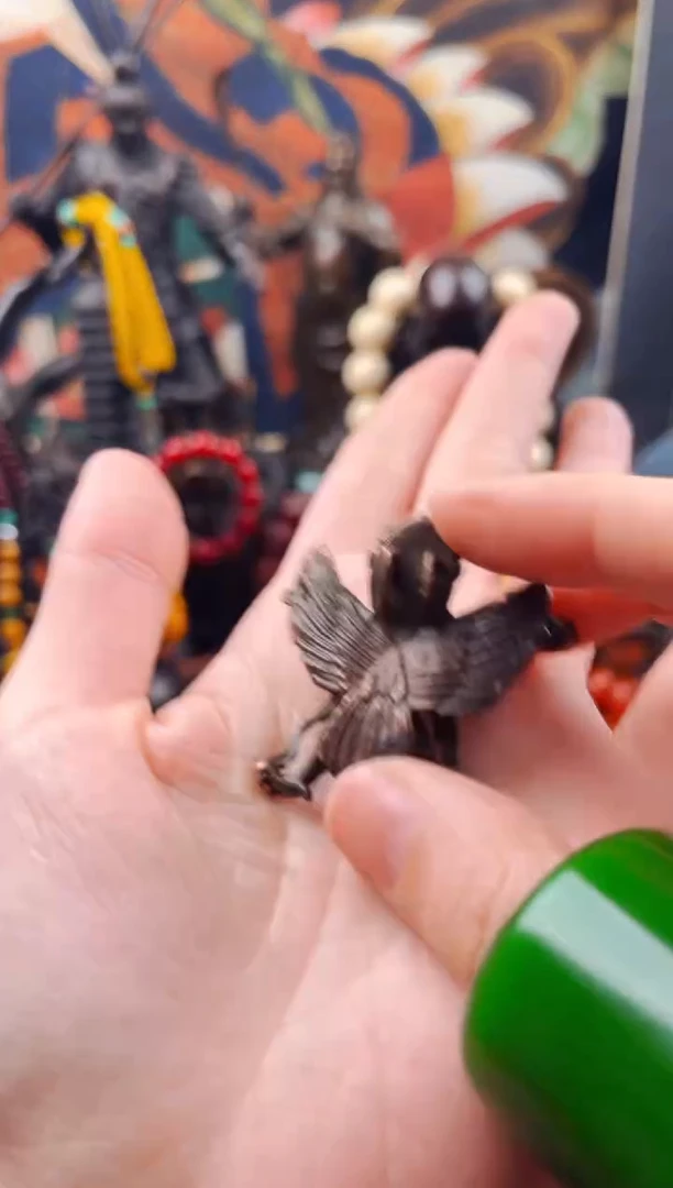 【闪购商品】飞姐精品专属推荐2