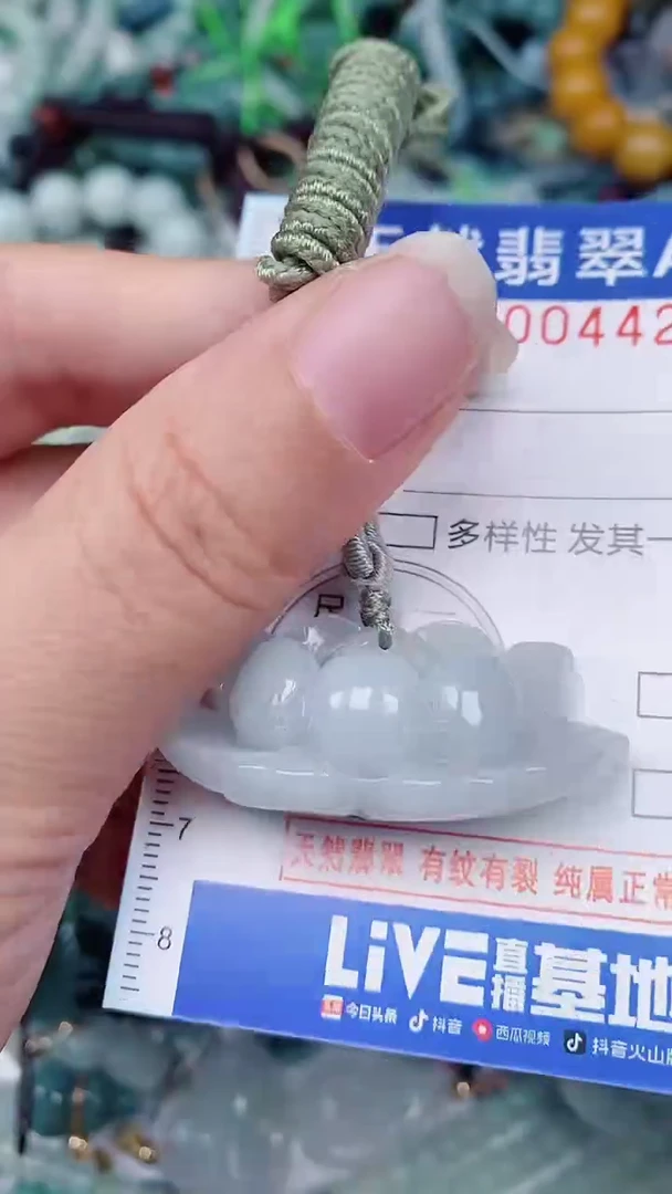翡翠未镶嵌颈饰00004427