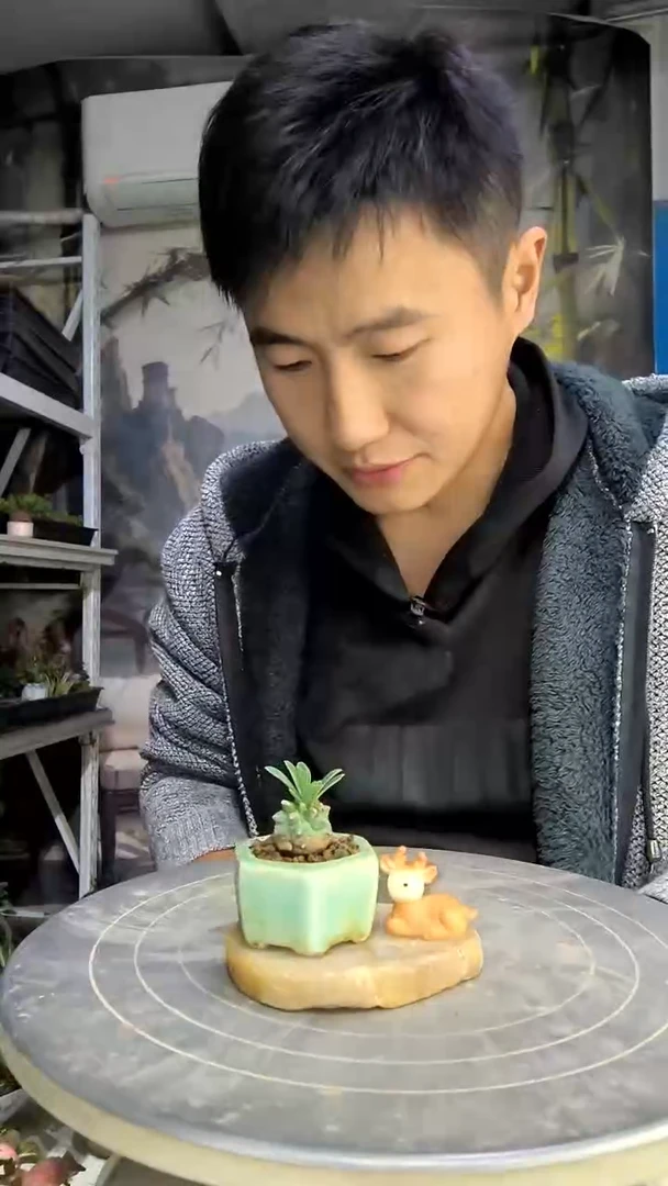 米*雪中青园艺一物一拍18