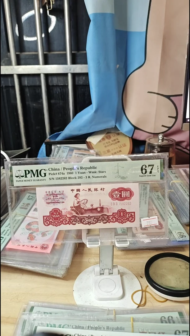 292一品红67分1582262！！！！