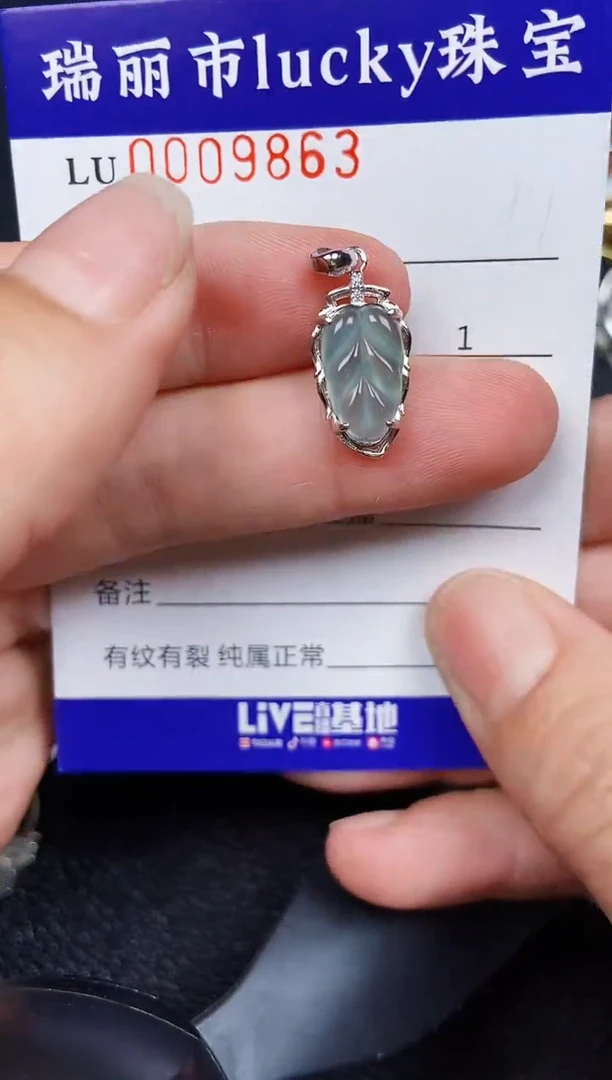 翡翠银S925镶嵌颈饰9863
