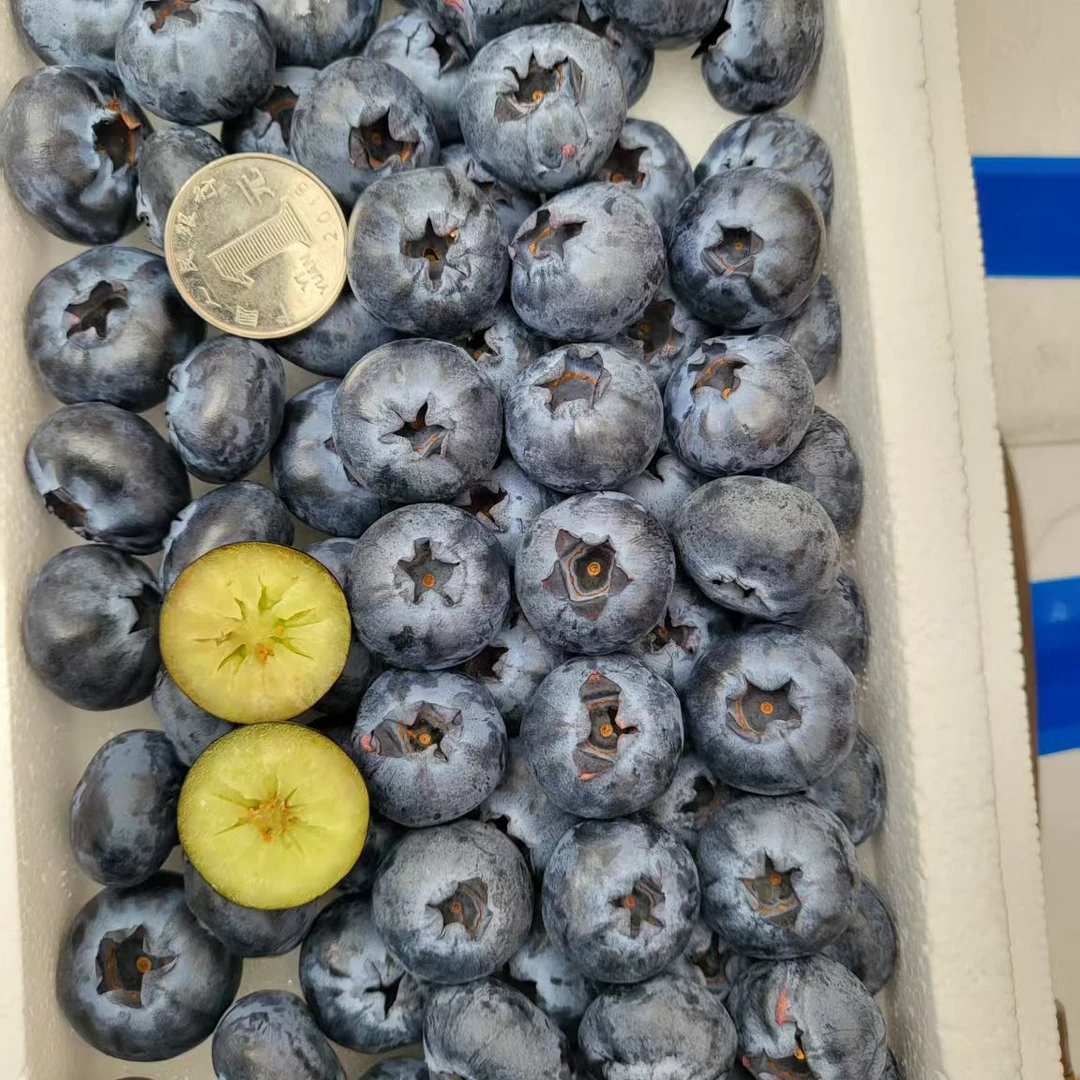 24+蓝莓一盒（18-22mm）400g（云南）