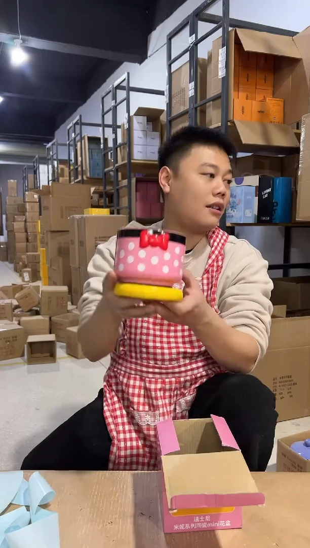 【闪购商品】杯陶瓷原盒米妮花盆