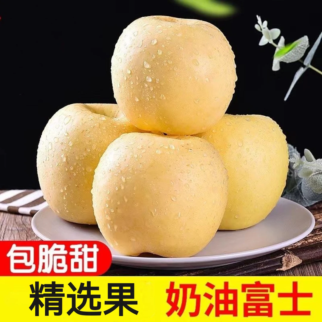 【奶油富士】山东烟台黄金奶油富士苹果脆甜整箱不打蜡新鲜