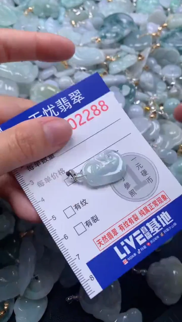 颈饰未镶嵌翡翠2288