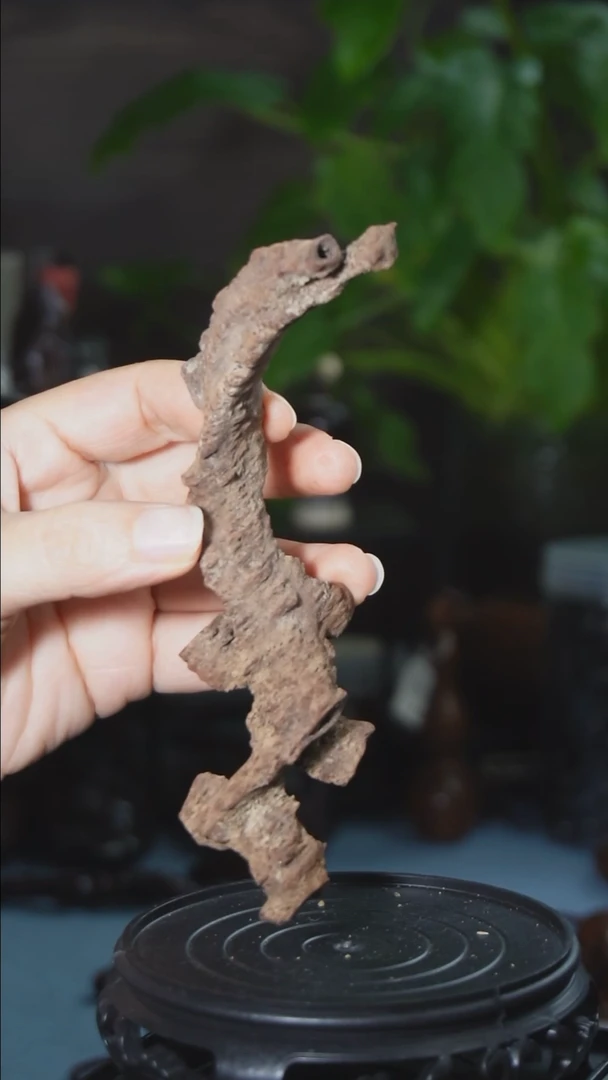 【闪购商品】降真香把件红降土埋虫漏福利