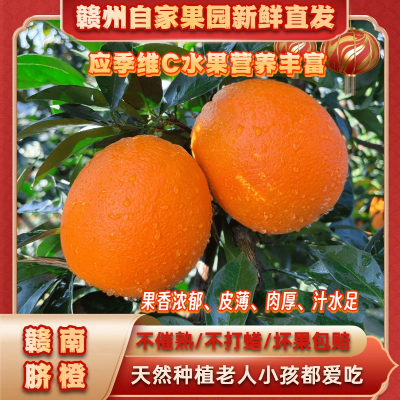 江西赣南脐橙原产地直发炮哥果园新鲜采摘水果橙子皮薄香甜多汁