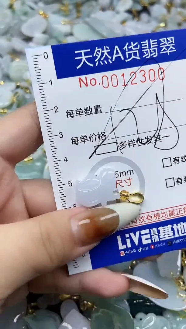 【闪购商品】翡翠颈饰未镶嵌天然A货翡翠