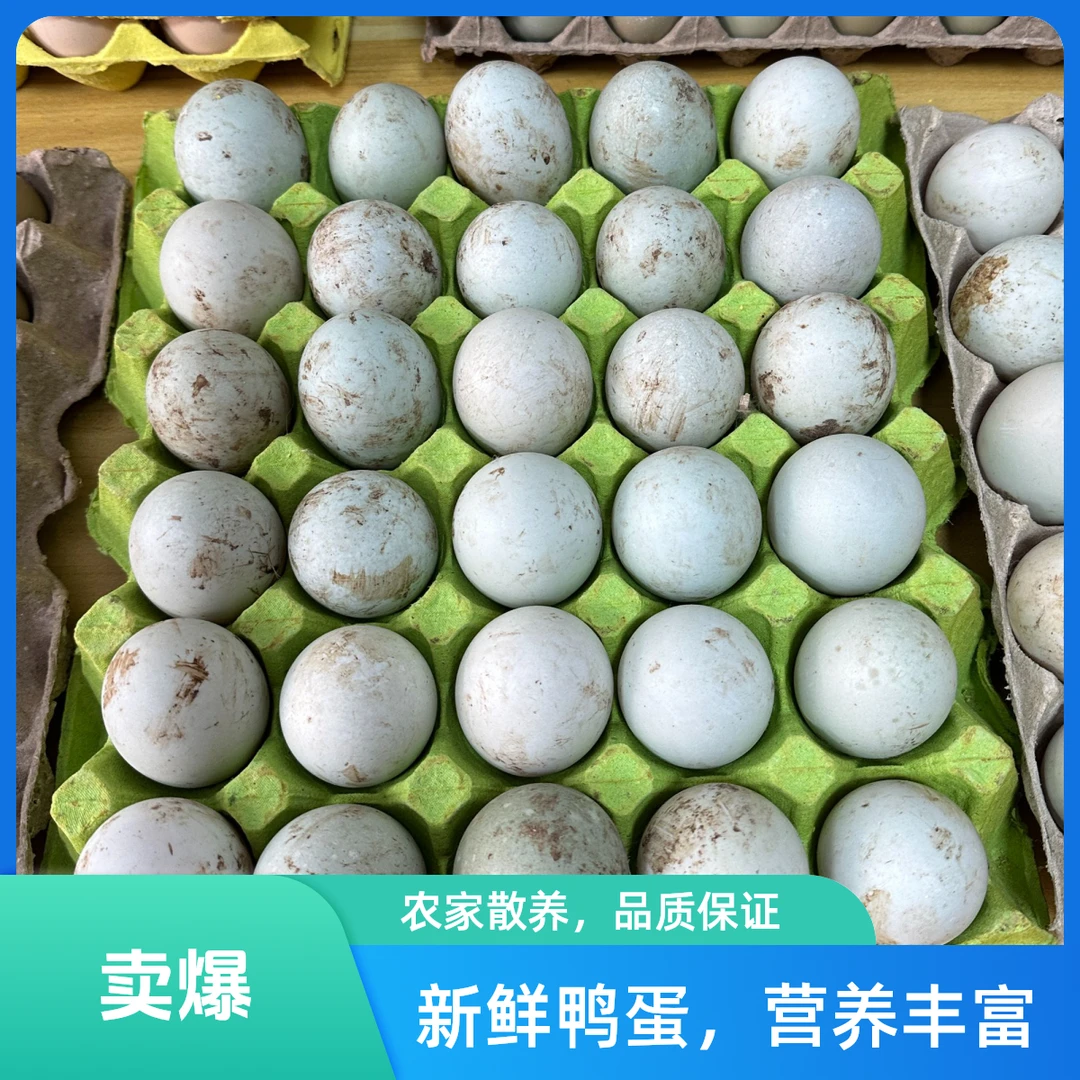 生态土鸭蛋一板（30枚）