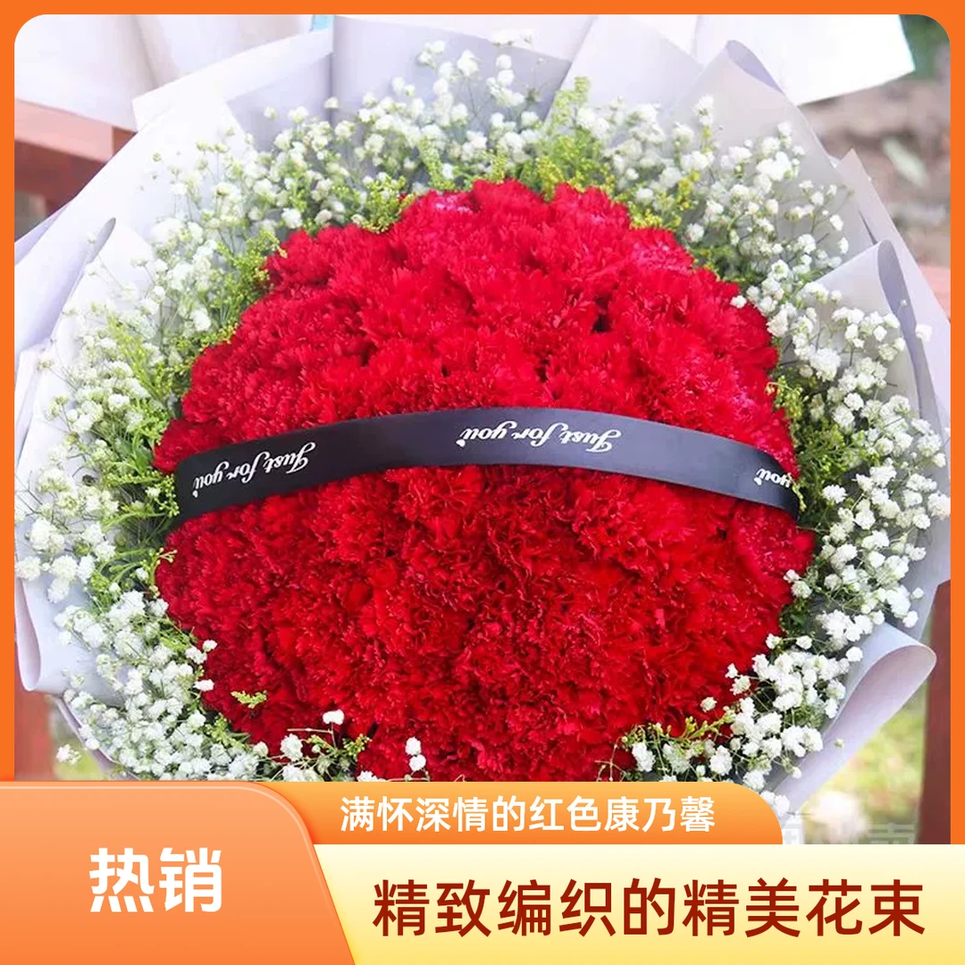 【母亲节高端】最爱的您‖99朵红康乃馨送长辈送朋友大花同城配送