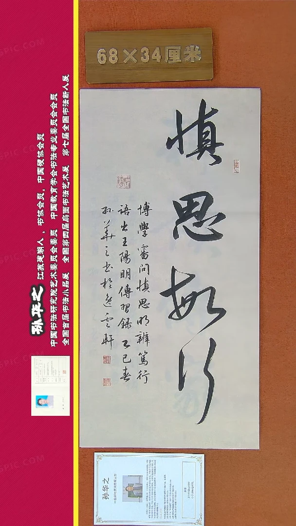 【闪购商品】书法208a孙华之书法作品