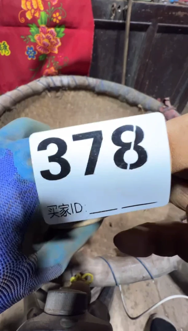 时**转08180老王直播间专属链接