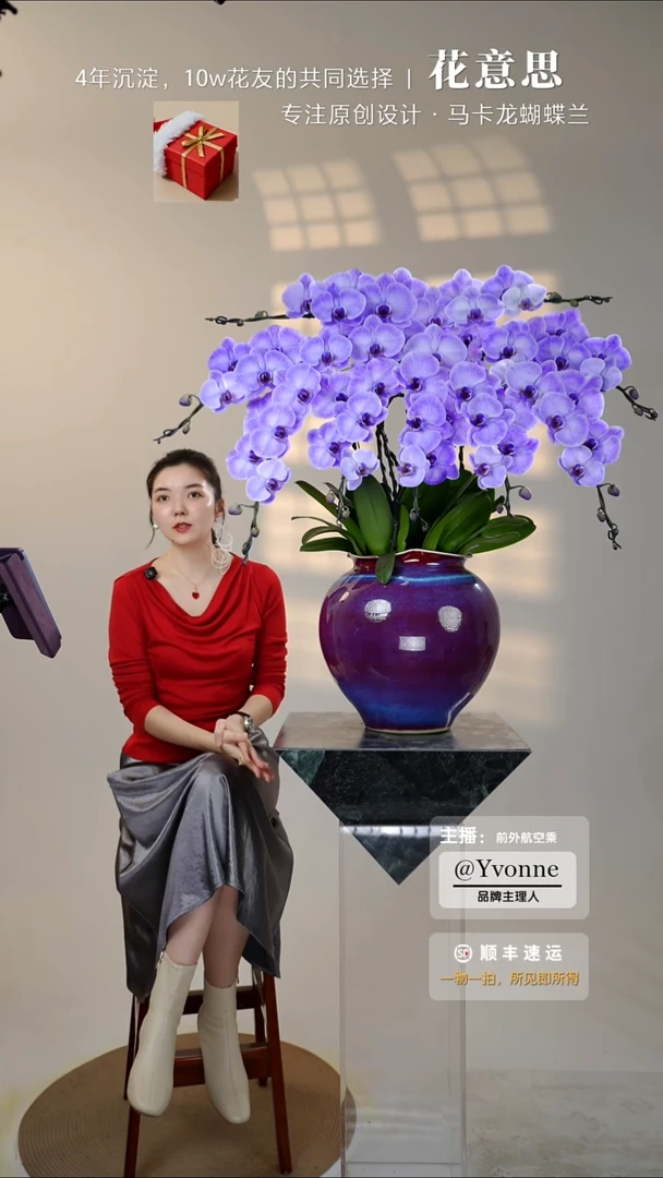 全部花朵028一物一拍蝴蝶兰艺术盆景