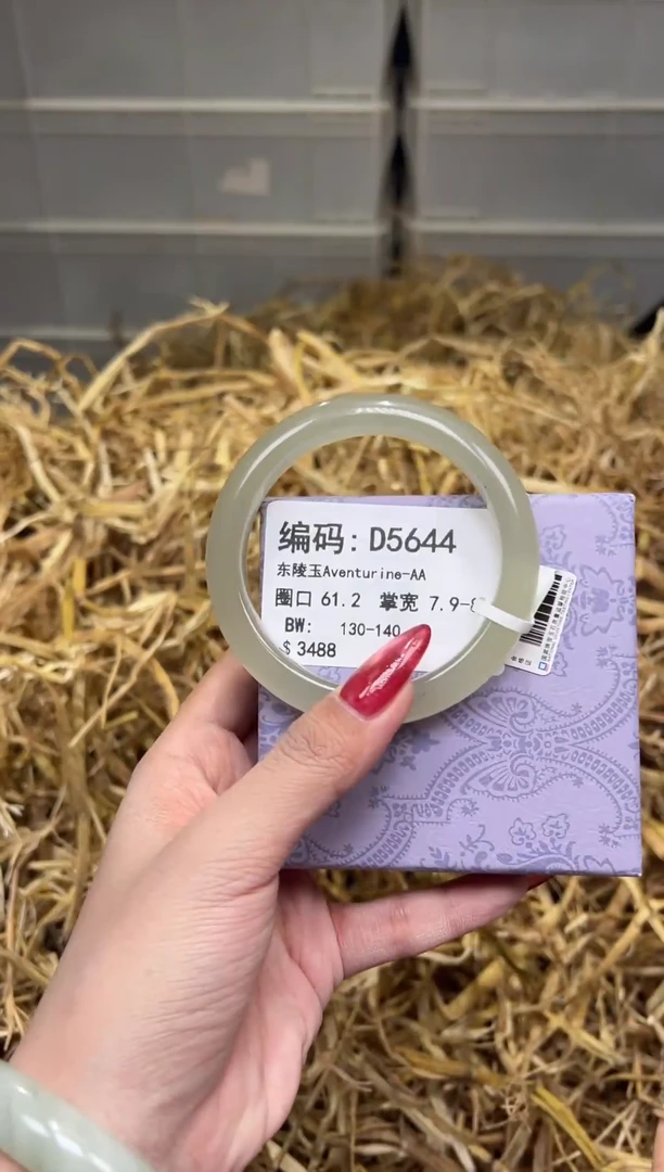 未镶嵌手镯石英质玉D5644