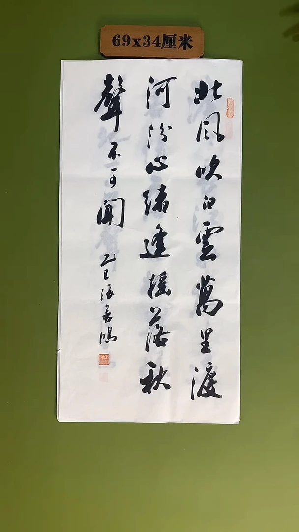 书法书法 张若鸿 尺寸69cm*34cm