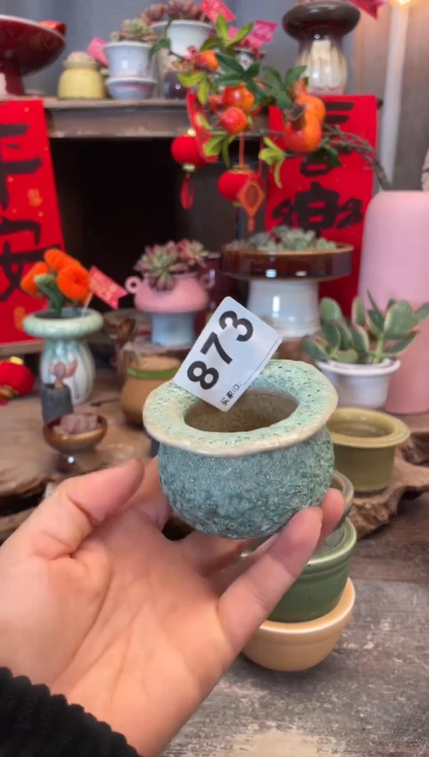 【闪购商品】摆件873知木小芳花盆