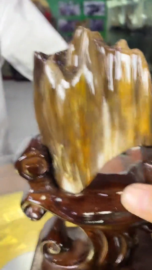 未镶嵌珠宝奇石硅化玉缅甸天然树化玉摆件