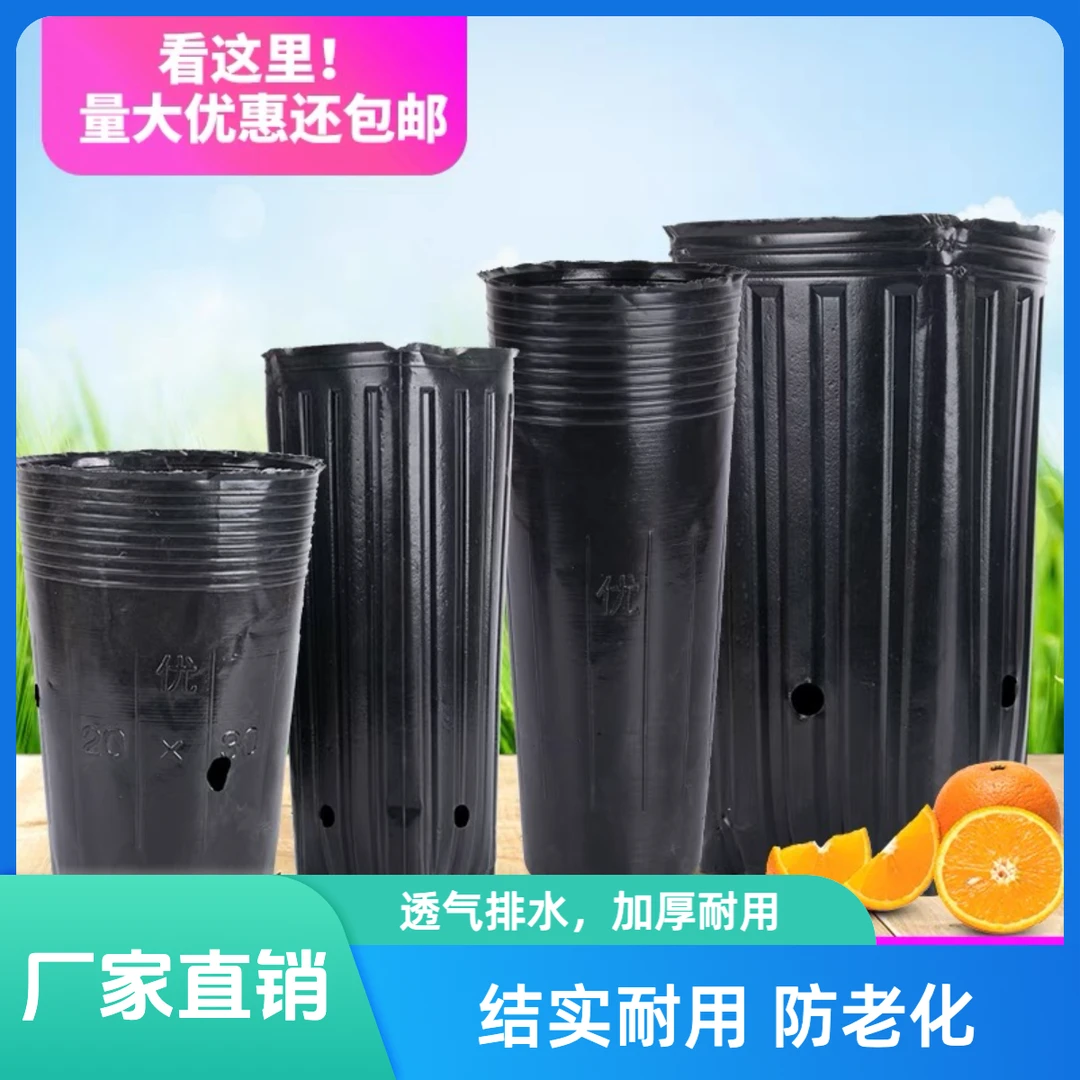 加高营养杯育苗杯营养钵育苗盆塑料一次性农用营养袋育苗袋花盆大