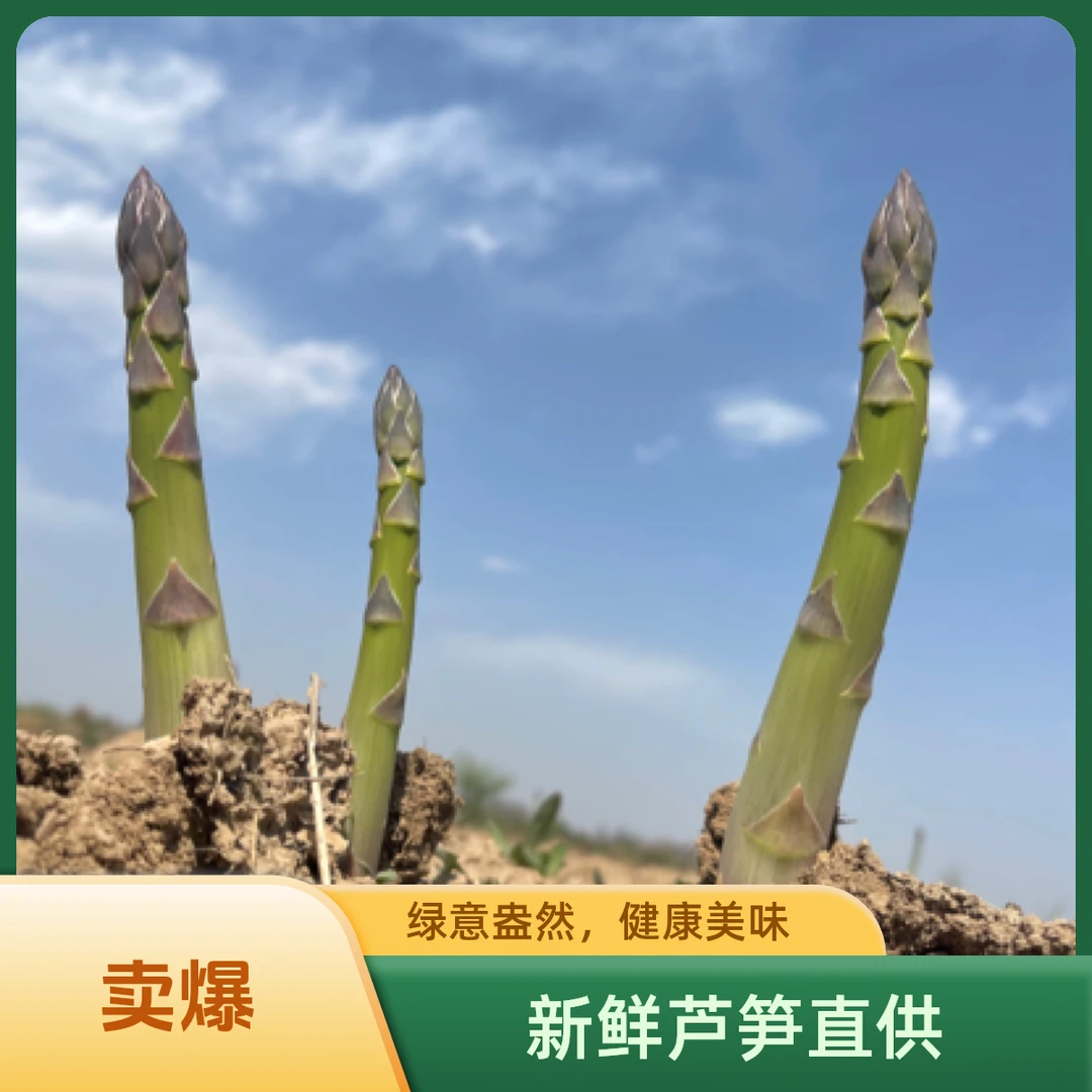 新鲜芦笋白芦笋青芦笋现挖现发优质蔬菜脆嫩鲜嫩顺丰包邮