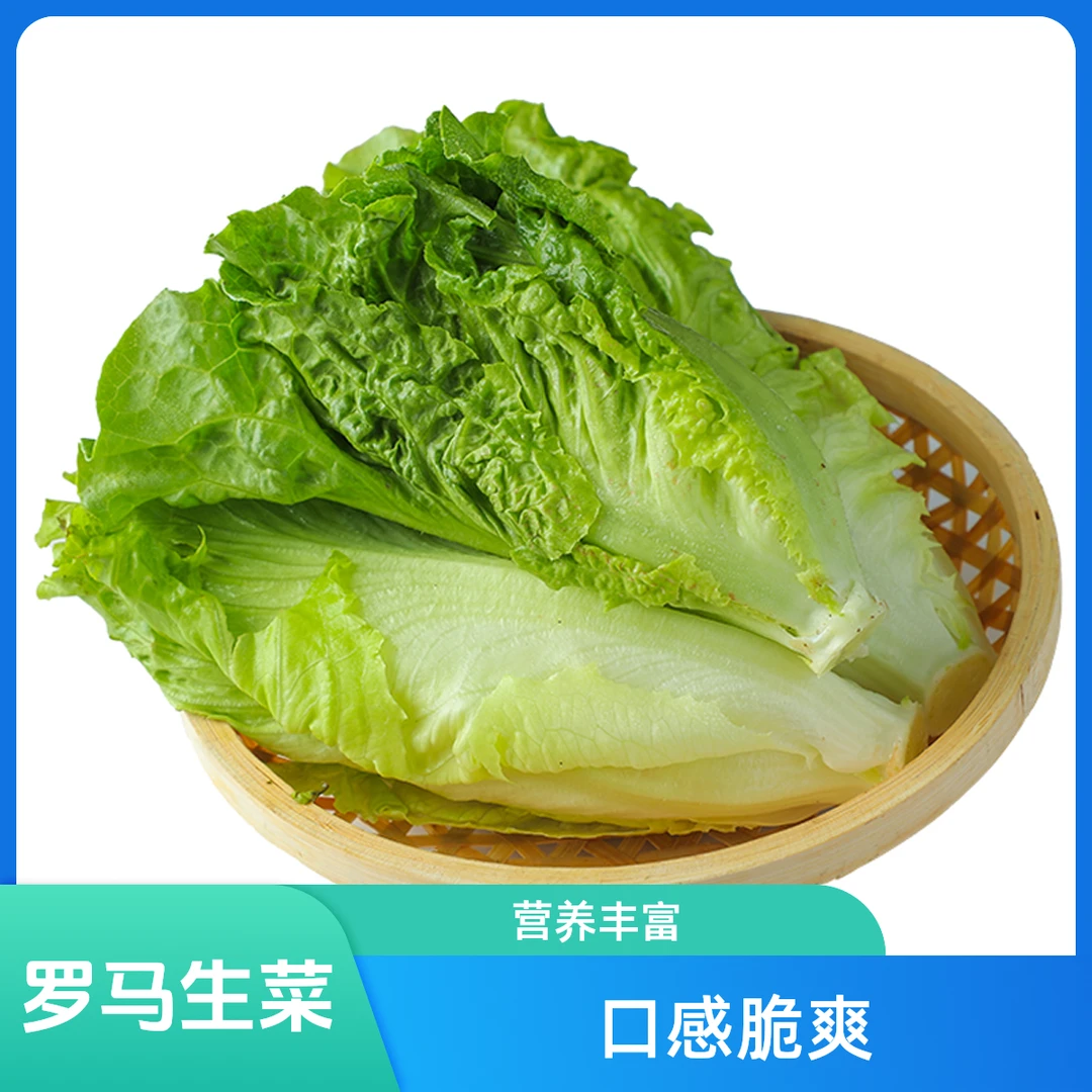 云南玉溪 罗马生菜300g