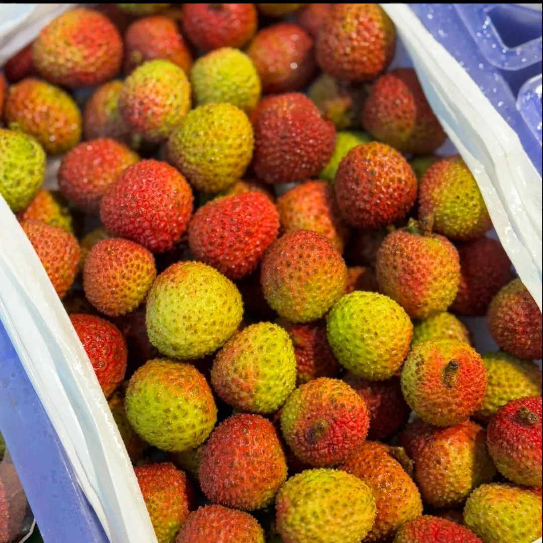 【顺丰明早到】海南妃子笑荔枝1-5斤 汁水爆澎 核小肉厚 送货上门KG 海南省新鲜海南