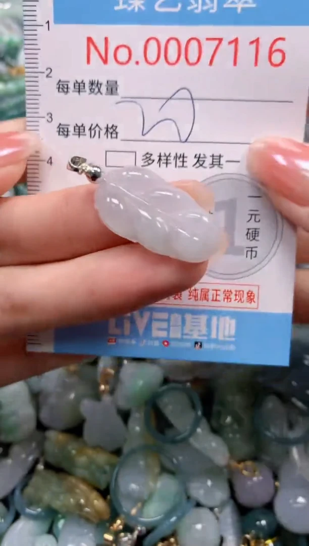 颈饰未镶嵌翡翠7116