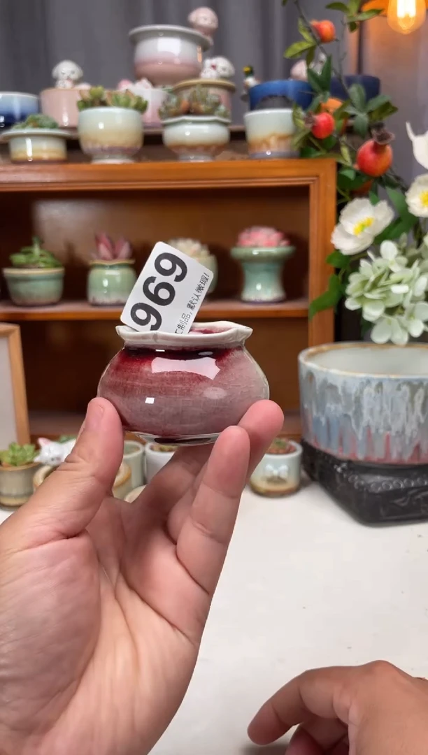 瓷片969知木小芳花盆