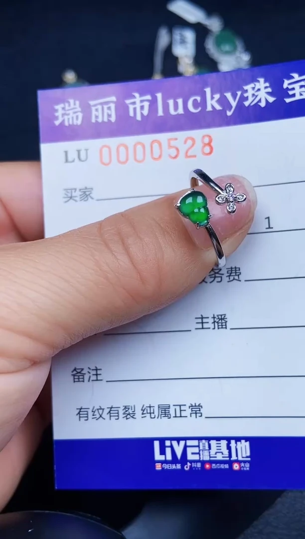 翡翠银S925镶嵌颈饰0528