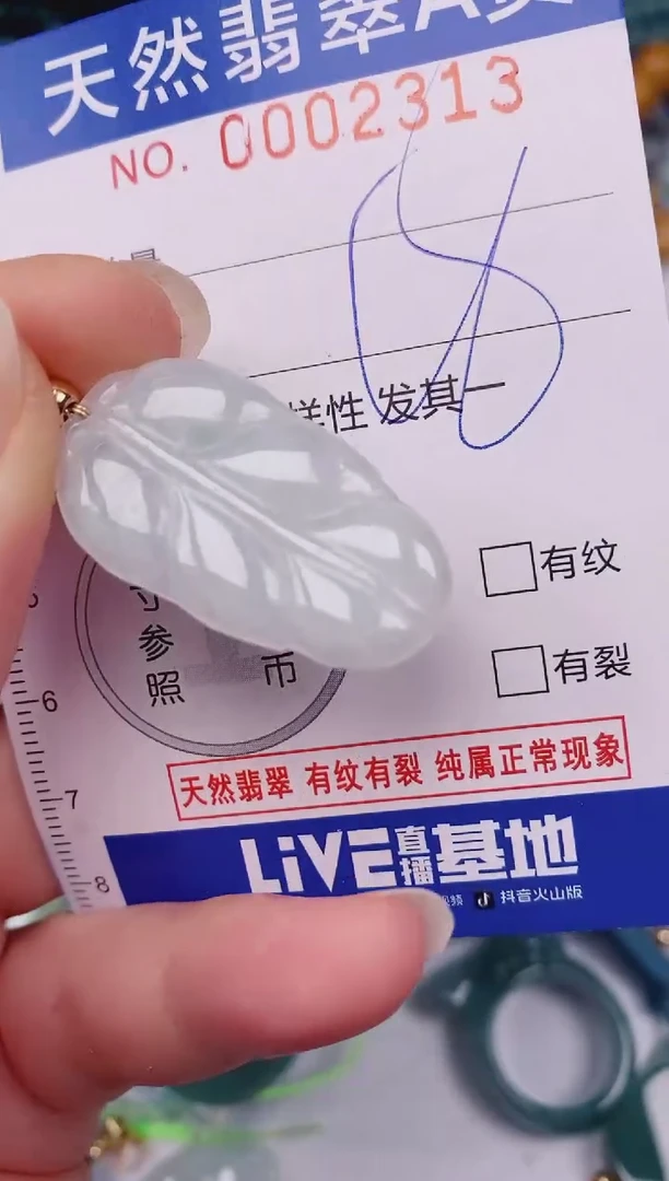 颈饰未镶嵌翡翠00002313