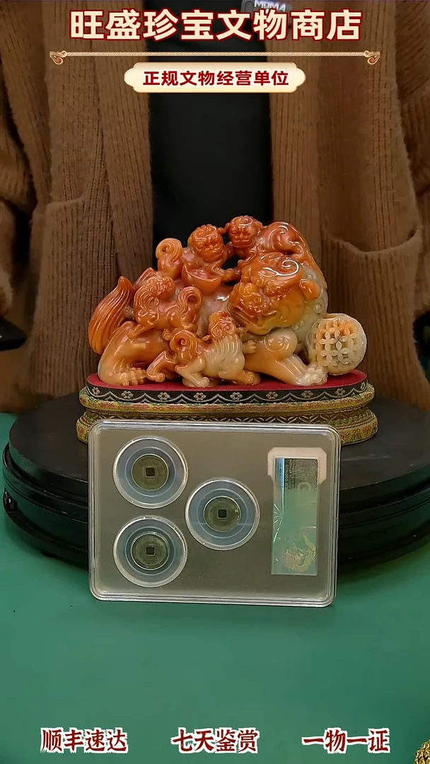 金陈*111111111112111