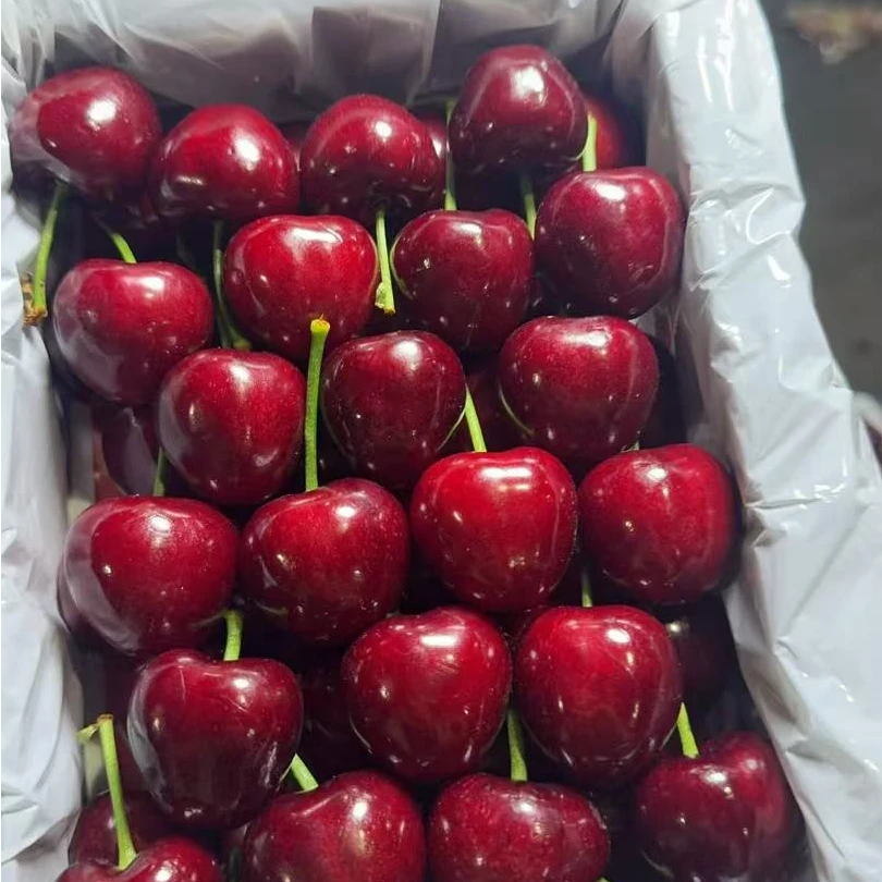 【沈阳市内跑腿】大连美早樱桃果王净重1.5斤  5J起