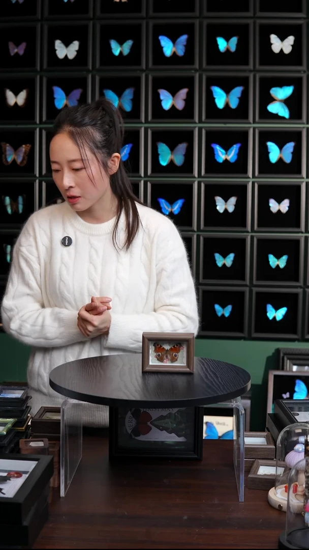 微瑕蝴蝶标本摆件一口价N77