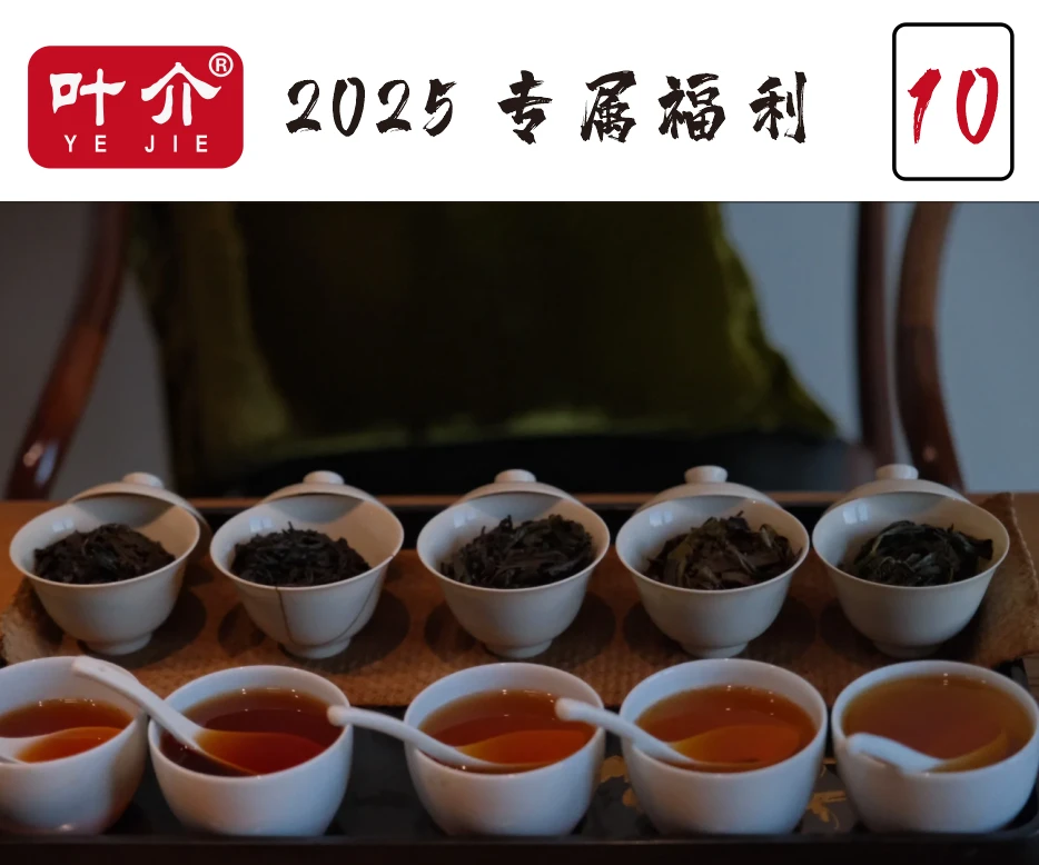 叶介~【2025专属福利M】武夷岩茶 临时福利组合