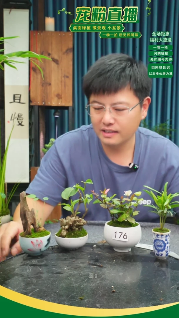 无花朵i****k苔藓微景观176号